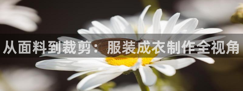 天辰娱乐10086