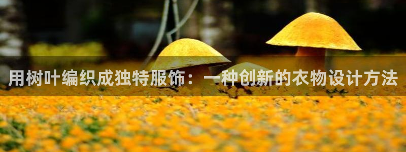 南京天辰娱乐
