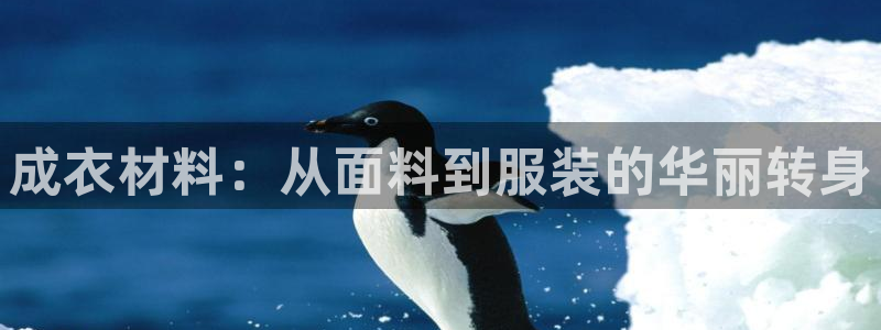 天辰娱乐60447