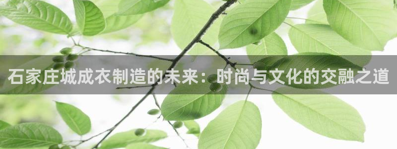 天辰2娱乐