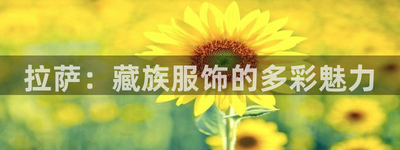 天辰娱乐新