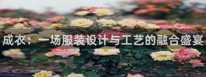 天辰娱乐会员