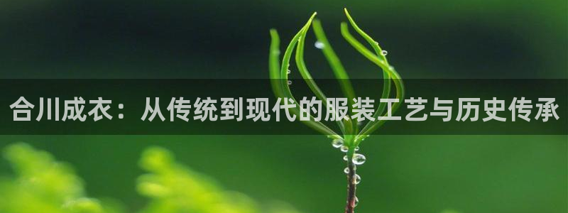 天辰娱乐直属