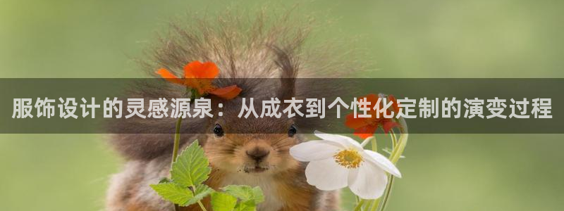 天辰娱乐51137