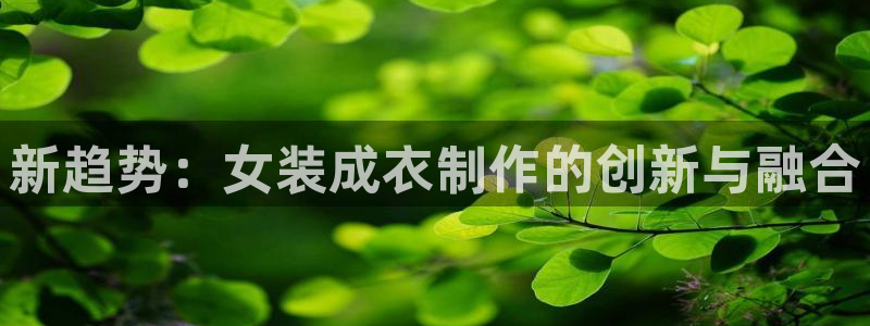 天辰娱乐路线