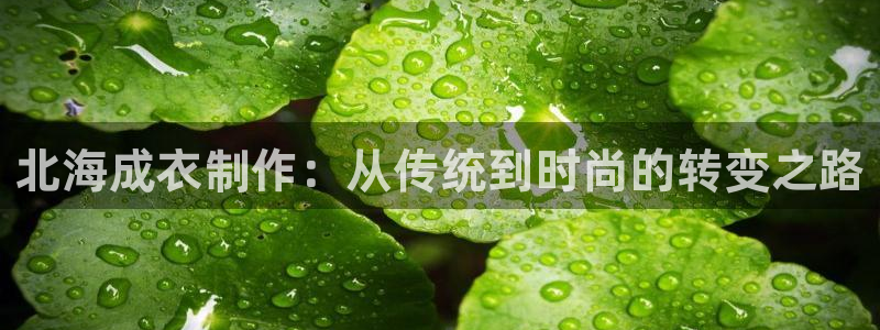 天辰娱乐输了