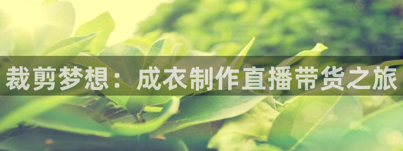 天辰娱乐app