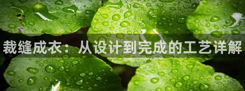 手机上怎么下载天辰娱乐