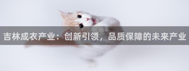 天辰娱乐客服