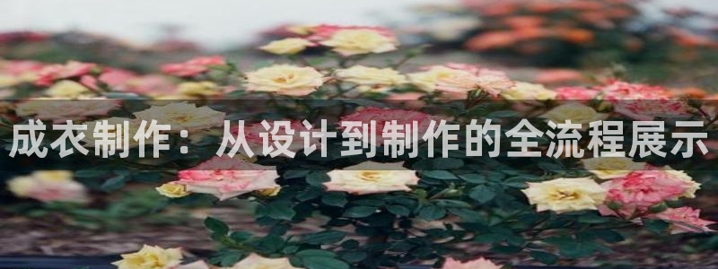 天辰娱乐_675138