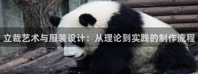 天辰娱乐十分彩