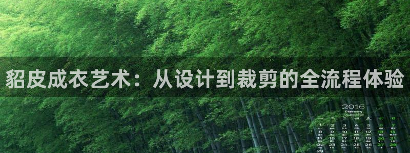 天辰娱乐主管