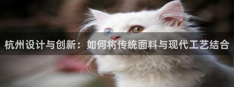 天辰娱乐_ 18113