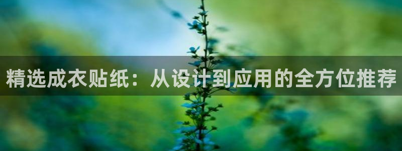 天辰娱乐总管