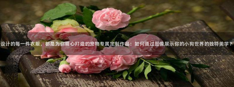 天辰娱乐51137