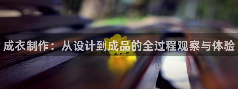 天辰娱乐海洋