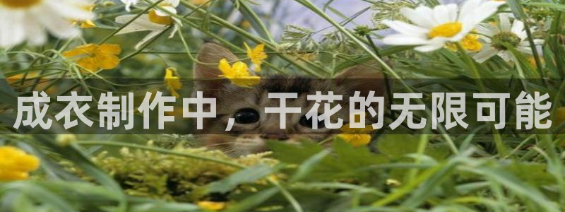 天辰水娱乐