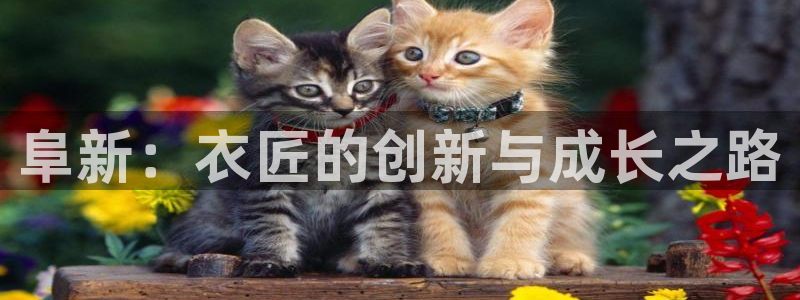 天辰娱乐平台测速