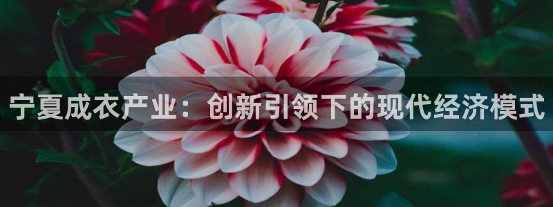 天辰娱乐-18113
