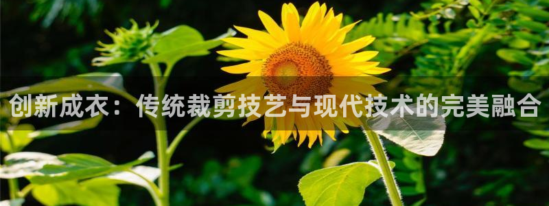 天辰娱乐平台