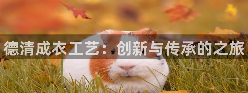天辰娱乐服务