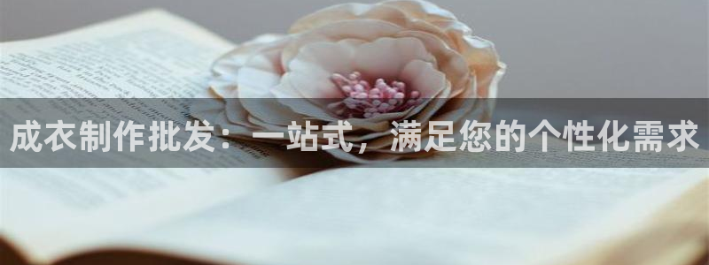 天辰娱乐小姐