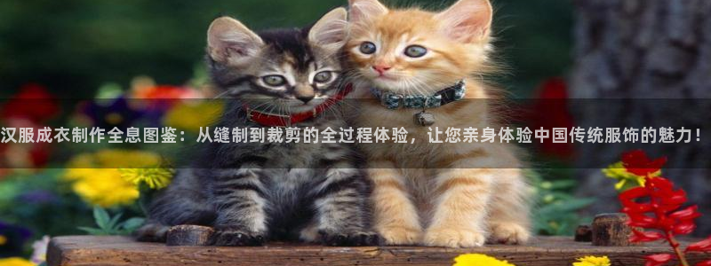天辰娱乐 主管