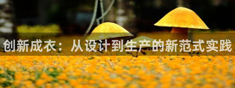 天富娱乐天辰娱乐