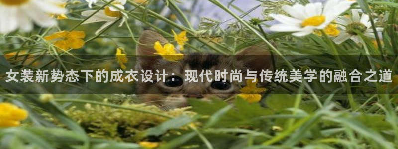 天辰娱乐平台注册