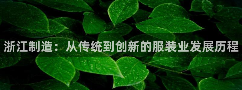 手机上怎么下载天辰娱乐