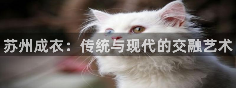 天辰娱乐平台登录账号