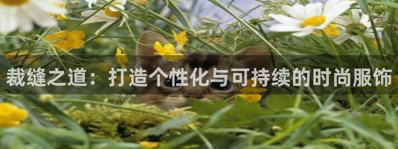 天辰娱乐总管年薪