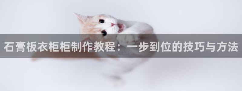 天辰娱乐 . 鱼刺