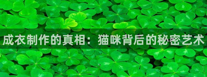 天辰娱乐游戏平台怎么样