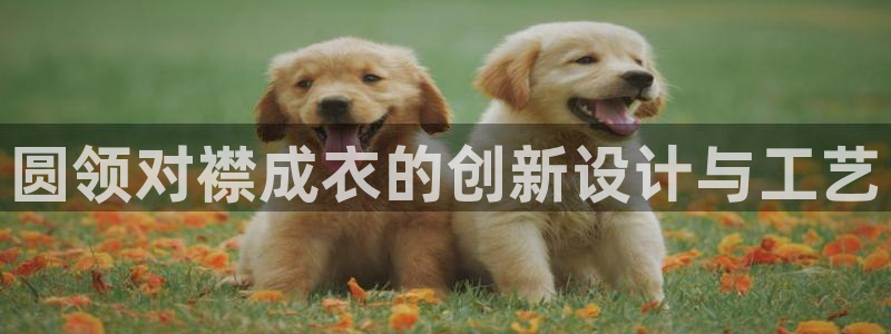 天辰娱乐39974神