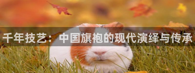 天辰娱乐 728567