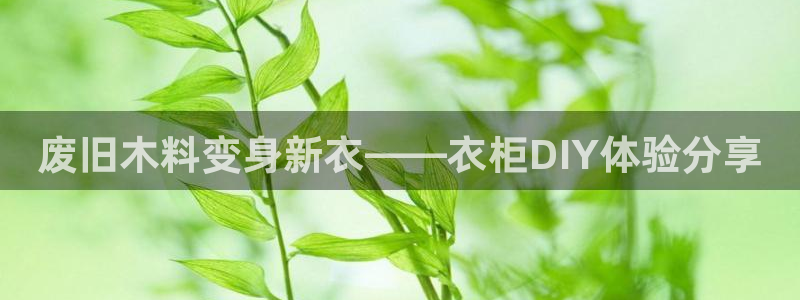 天辰娱乐网