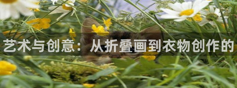 深圳天辰娱乐