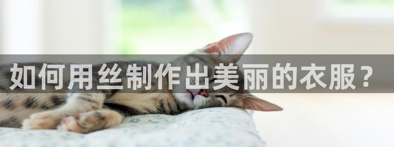 天辰娱乐登陆