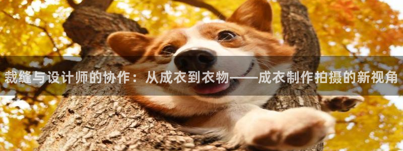 天辰娱乐平台登录账号
