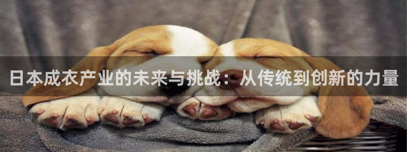 天辰娱乐平台登录账号