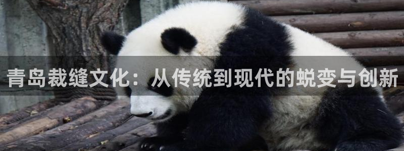 天辰娱乐怎么样